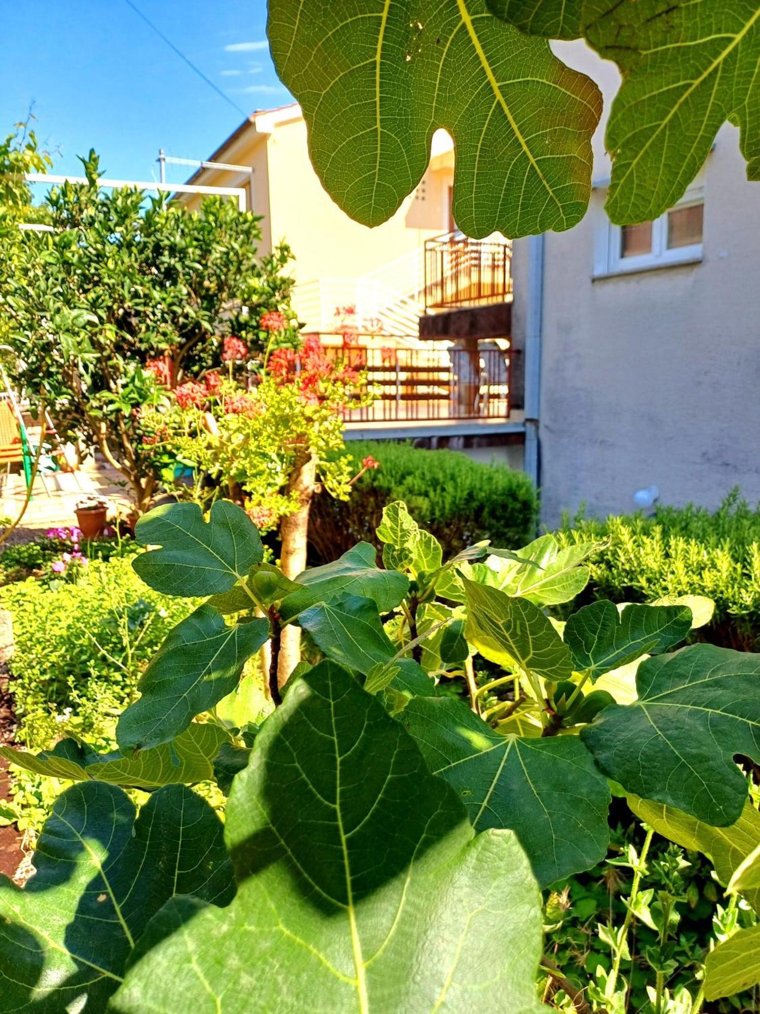 Adria Apartman Crikvenica Kültér fotó